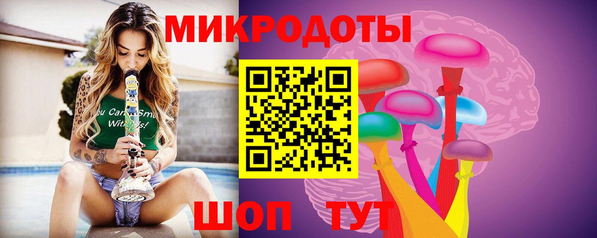 Галлюциногенные грибы Psilocybe Химки